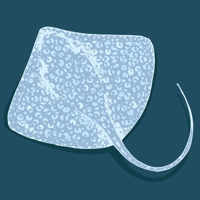 矢量的黄貂鱼背景