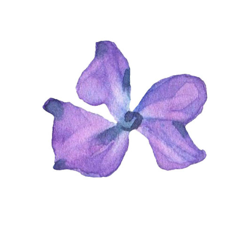 矢量紫色花朵设计