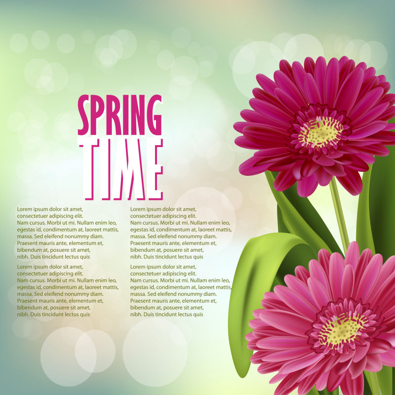 矢量美丽的雏菊花朵背景