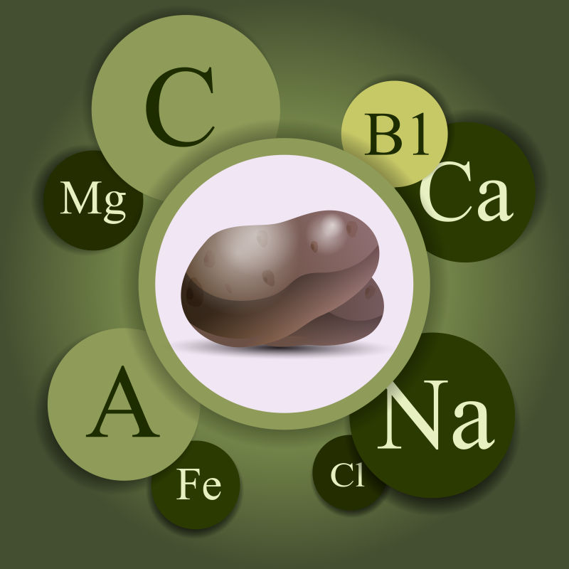 抽象矢量现代土豆所含维生素信息设计插图