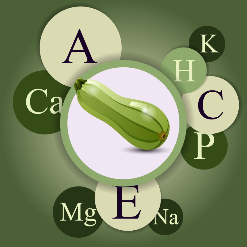 抽象矢量苦瓜所含维生素信息插图