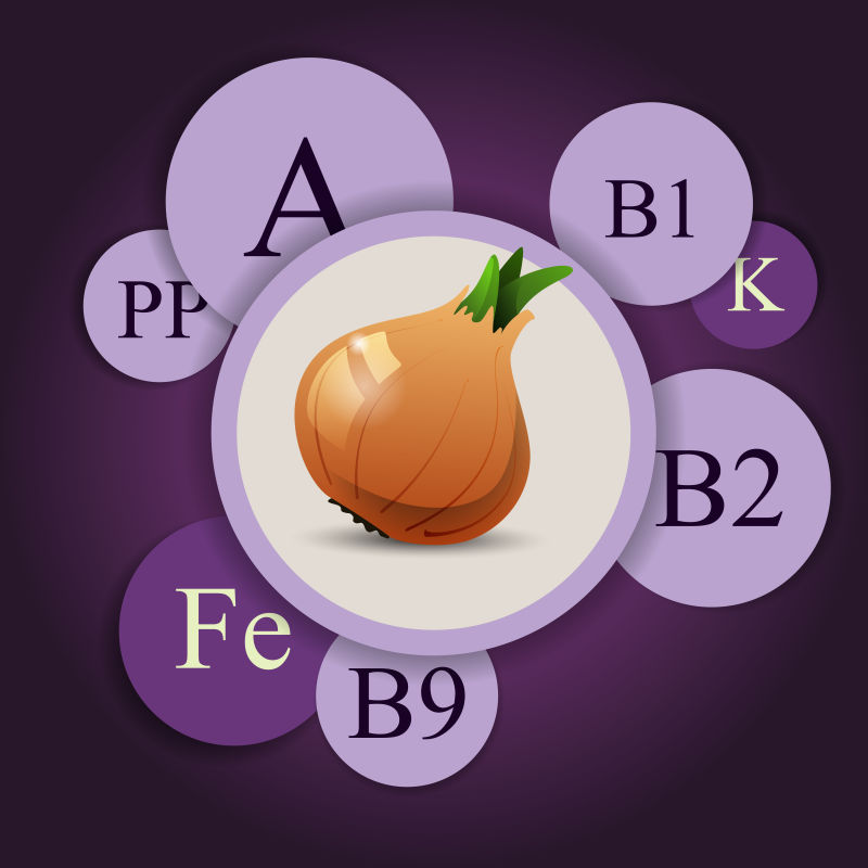 抽象矢量洋葱所含维生素信息插图