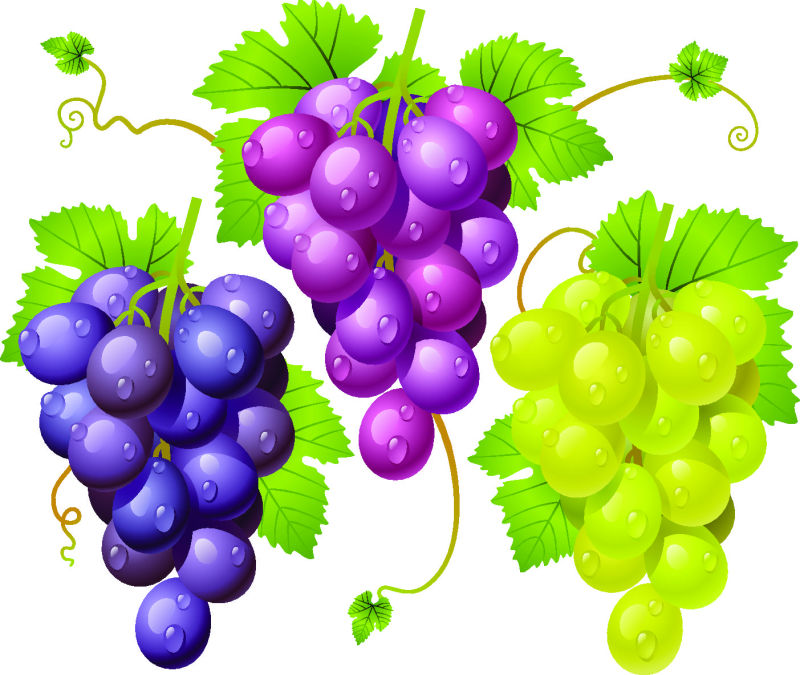 抽象矢量新鲜葡萄设计元素