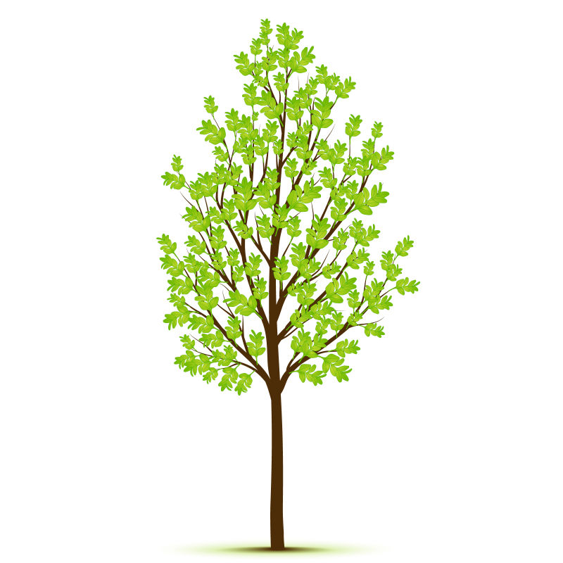 创意矢量细长的绿色树木设计