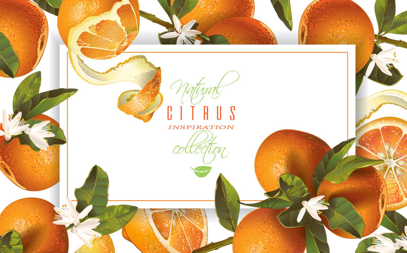 橘子图案创意横幅矢量设计