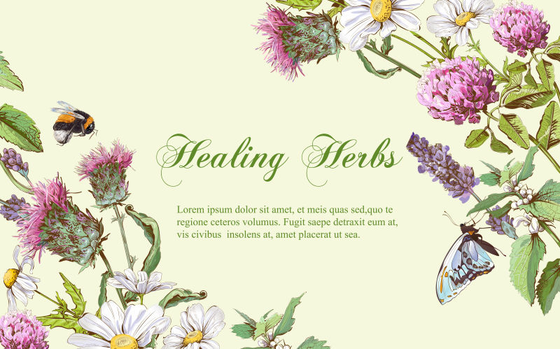 植物花卉横幅矢量设计