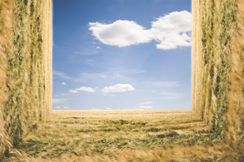 美丽的抽象田园山野插图