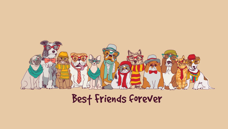 抽象矢量现代可爱的宠物狗设计插图