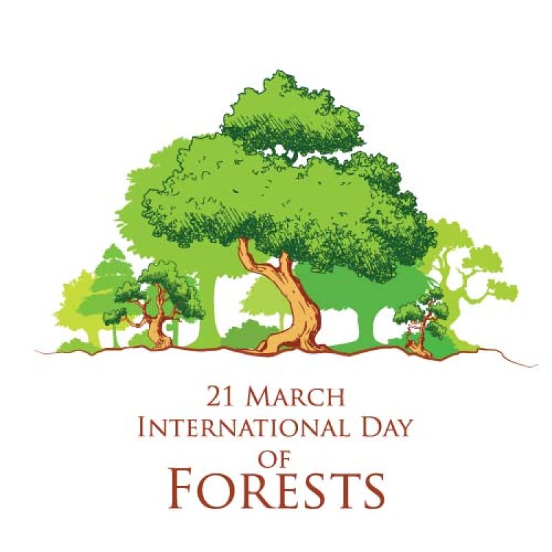 抽象矢量现代生态森林主题插图设计