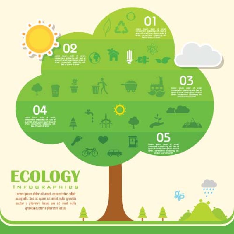 创意矢量现代生态树元素的信息图表设计