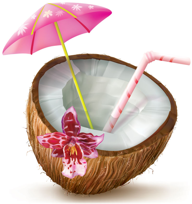 抽象矢量新鲜切开的椰子插图设计