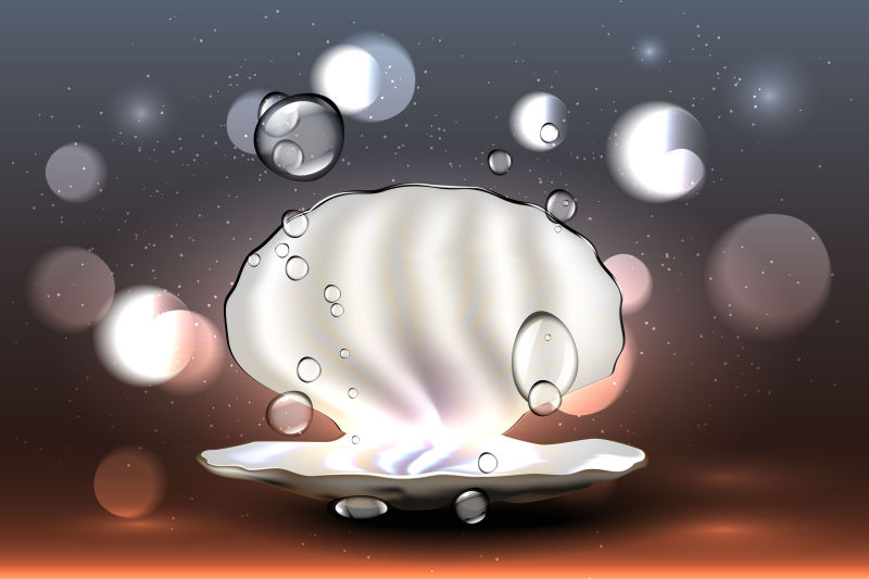 矢量打开的贝壳化妆品背景设计