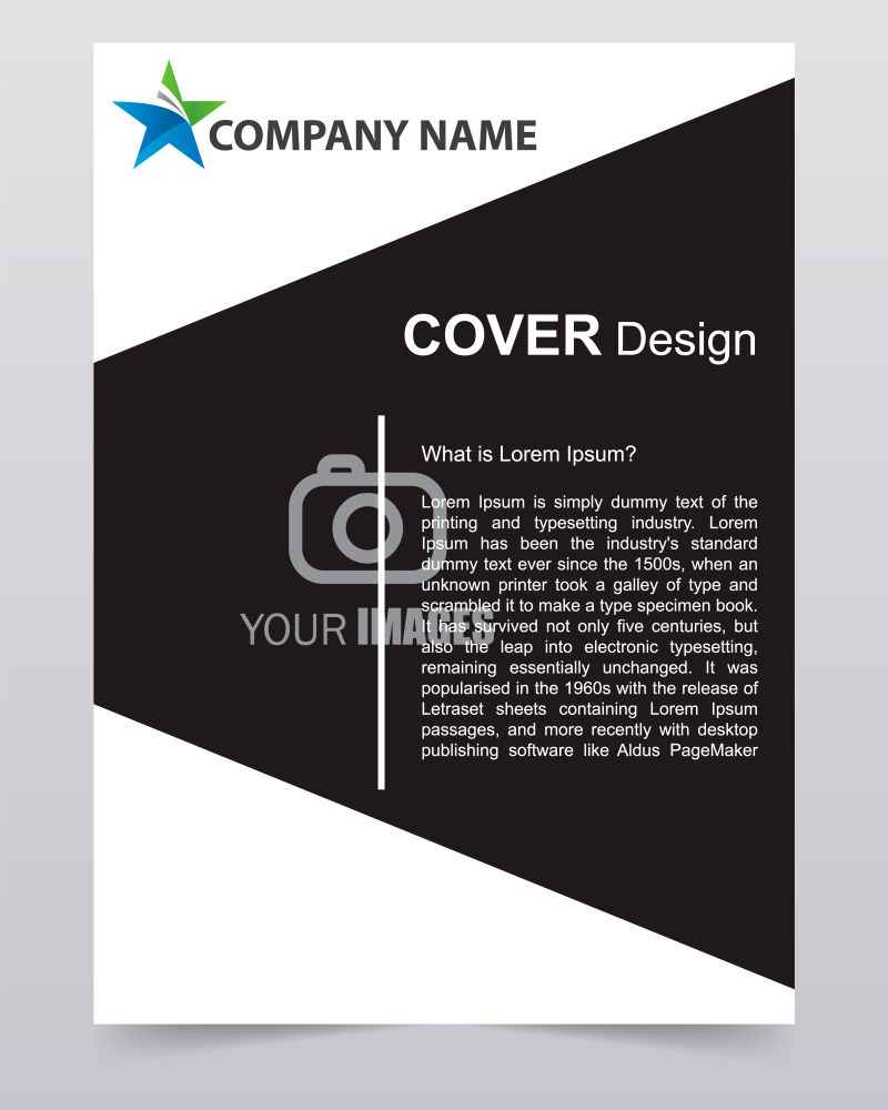 创意矢量黑色现代年度报告设计