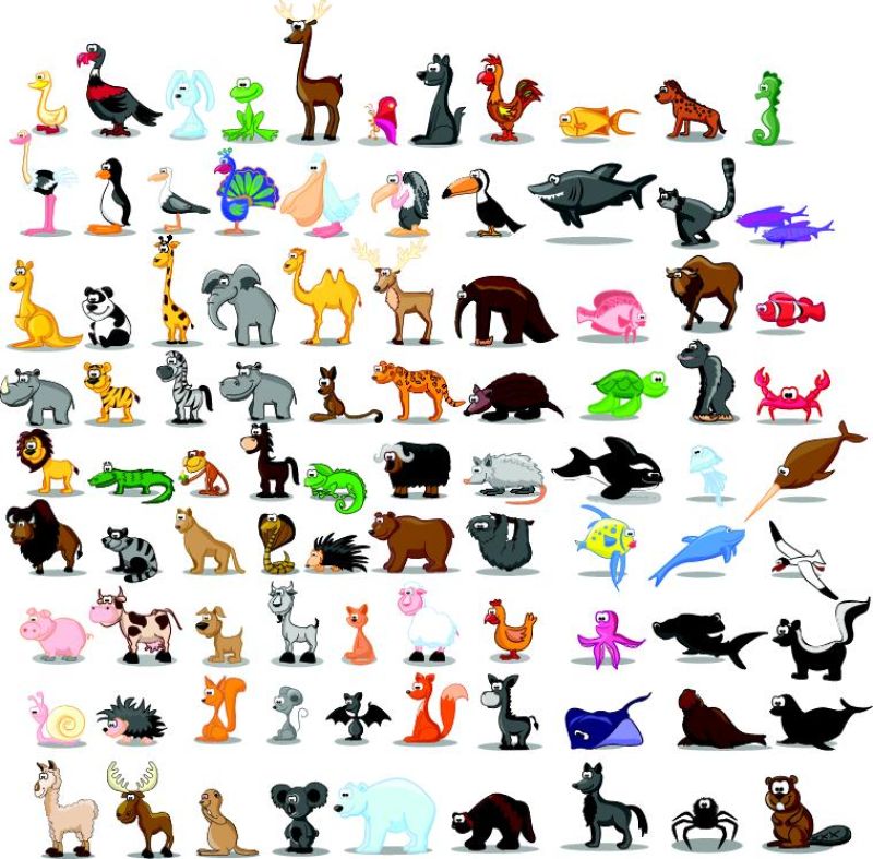 额外的大型动画集