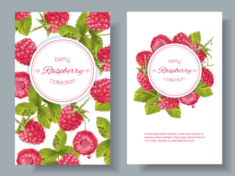 抽象矢量现代树莓元素的装饰卡片设计