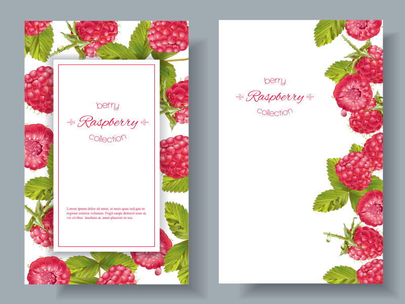 抽象矢量树莓元素的卡片设计