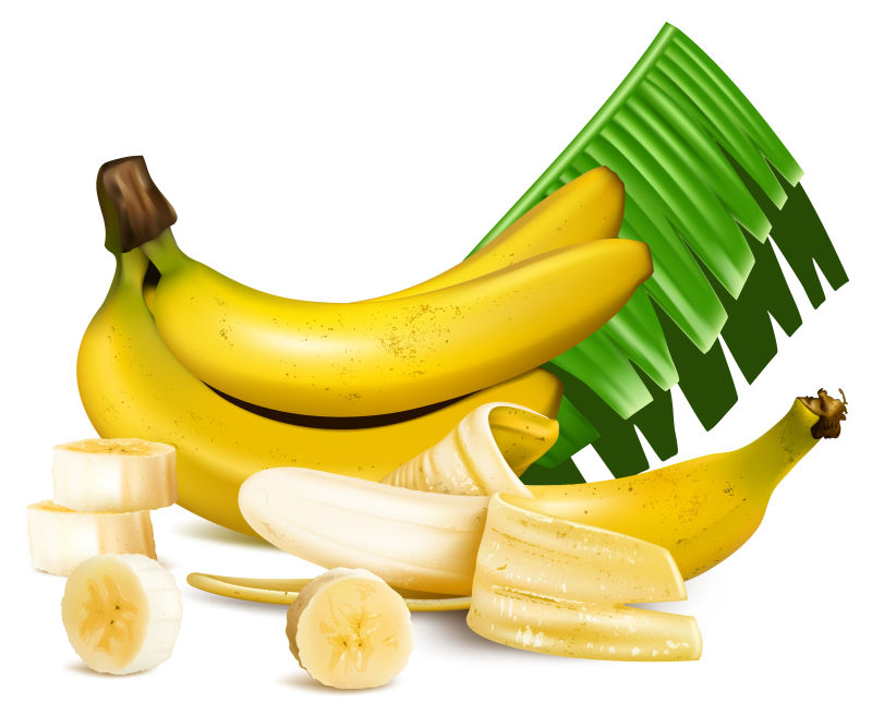 创意矢量新鲜的香蕉插图设计