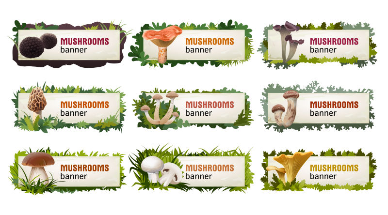 创意矢量现代菌菇类元素横幅设计