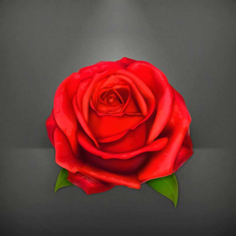抽象矢量时尚红玫瑰设计元素
