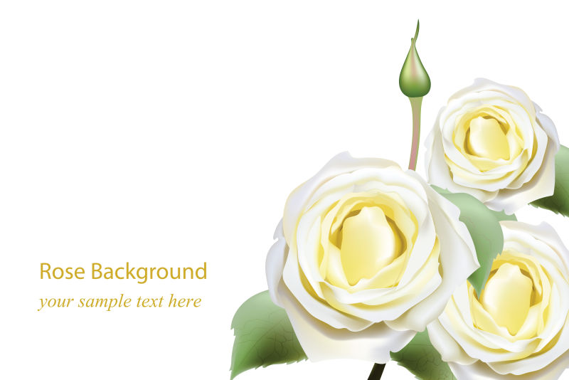 抽象矢量现代白色玫瑰设计插图