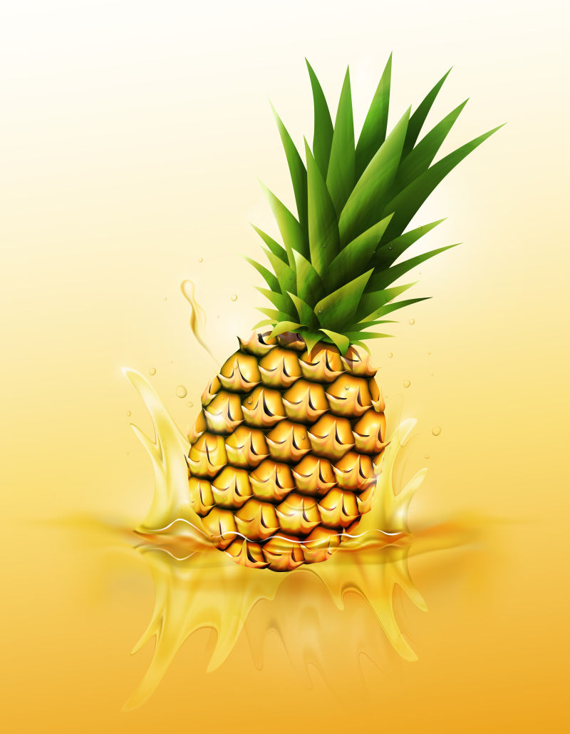 抽象矢量现代飞溅液体中的菠萝插图设计