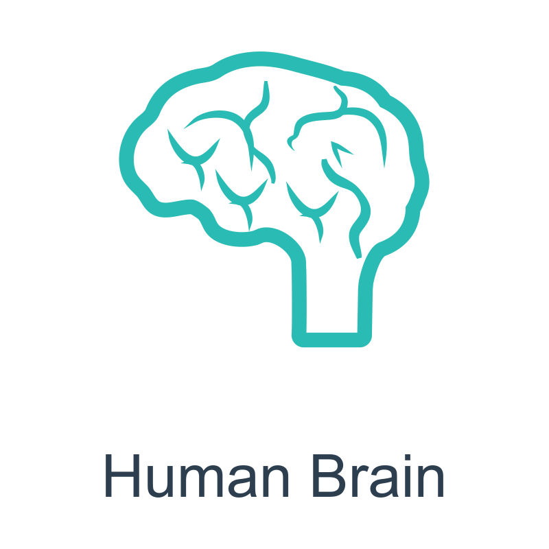 抽象矢量现代大脑元素图标设计