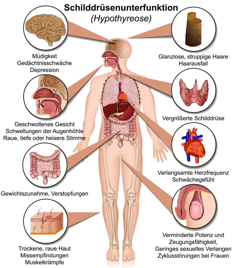维生素A设备身体影响医学媒介白底插图