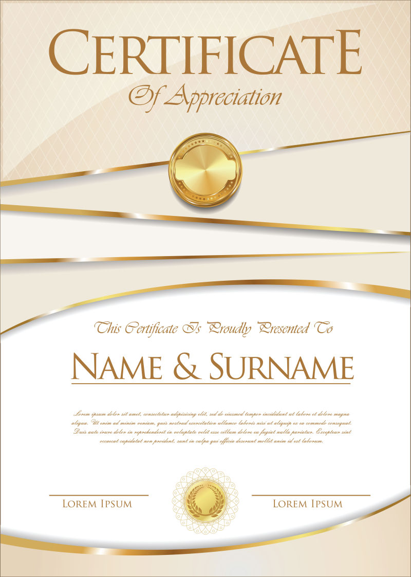 矢量抽象现代经典优雅证书平面设计