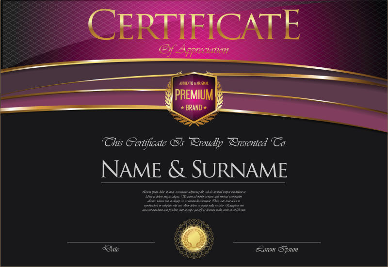 创意矢量现代时尚经典鉴赏证书设计