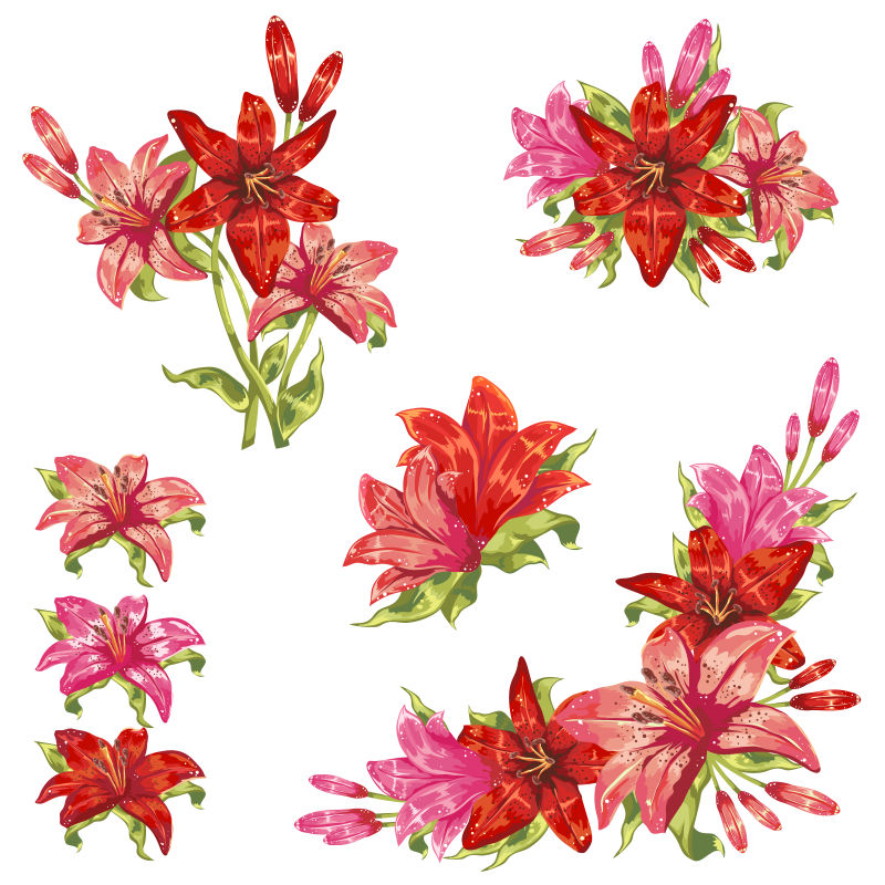 温和的花蕾分离花蕾元素