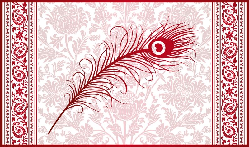 创意矢量现代传统装饰风格的孔雀羽毛设计插图