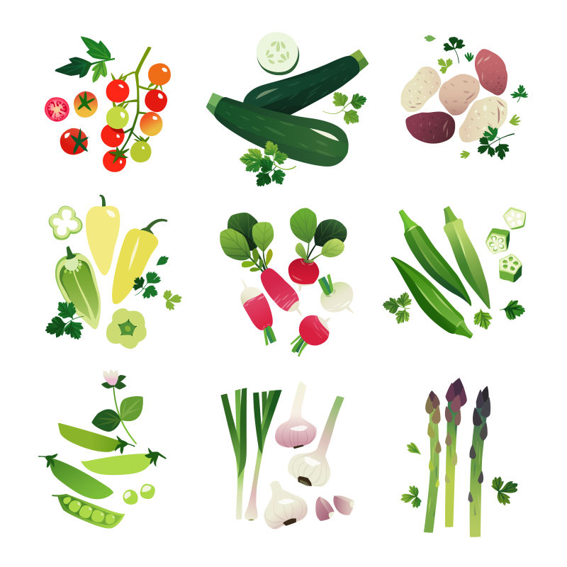 抽象矢量现代新鲜蔬菜创意插图