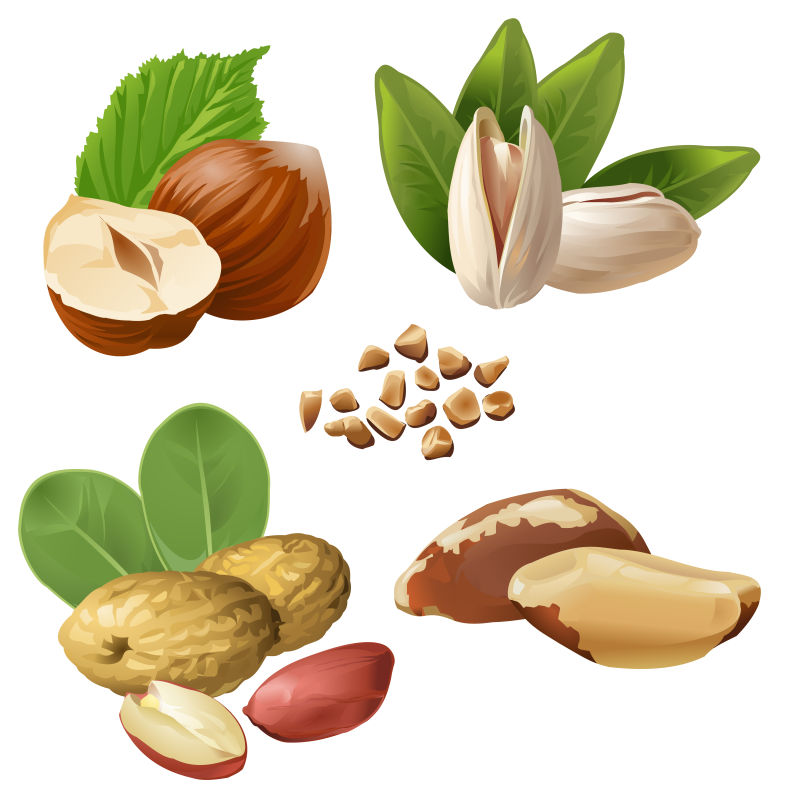 抽象矢量现代手绘坚果元素插图