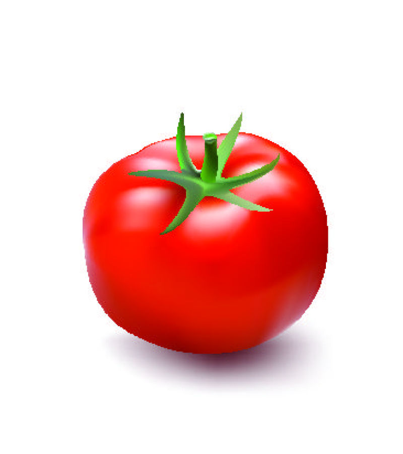 抽象矢量现代红色番茄设计