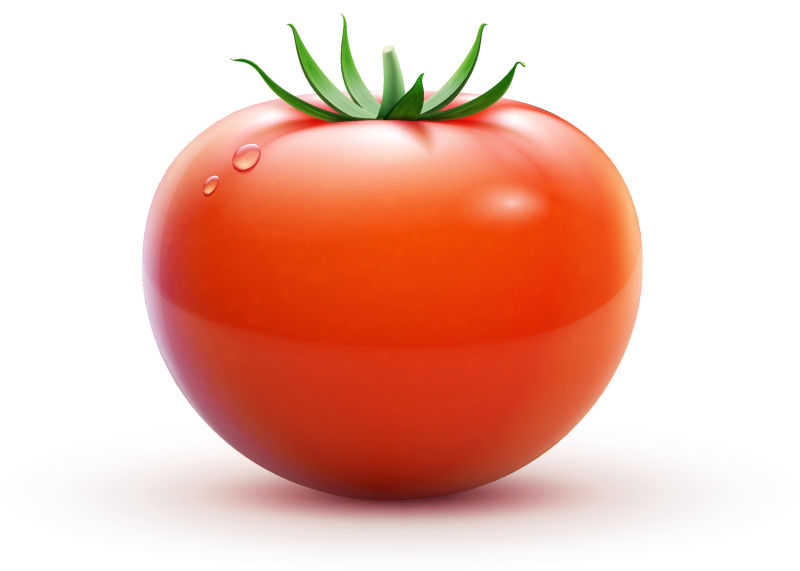 创意矢量自然新鲜番茄设计