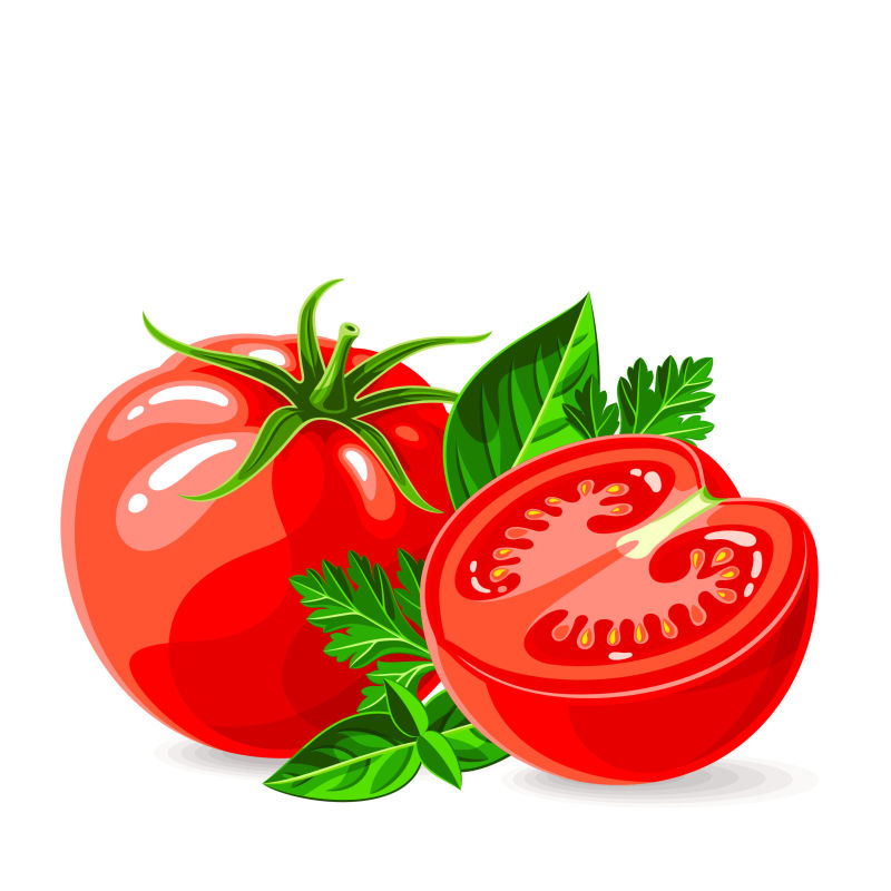 抽象矢量切开的番茄设计插图
