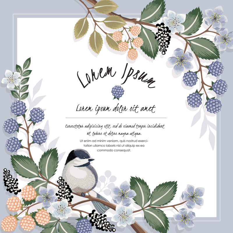 矢量现代花鸟元素装饰卡片设计