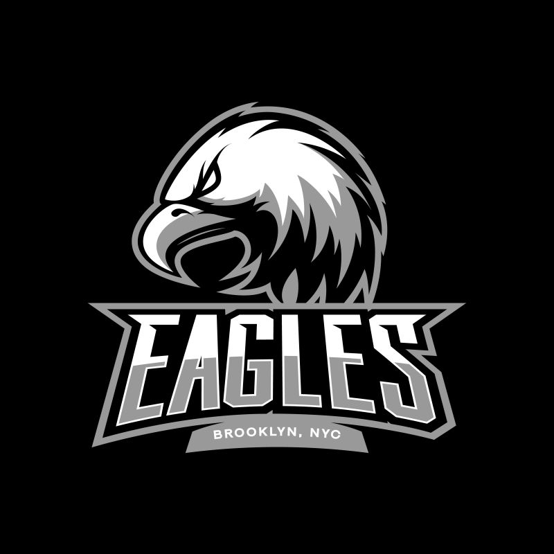 暴怒鹰运动矢量标识概念孤立于黑暗背景-网络信息图表纽约布鲁克林团队象形图-优质野鸟T恤T恤印花插图