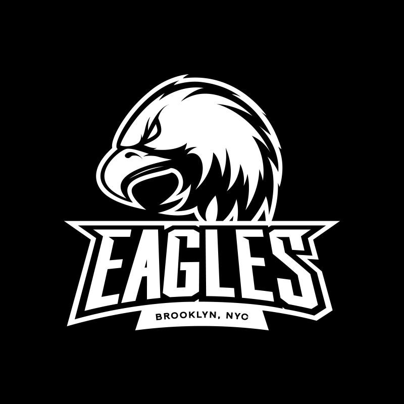 暴怒鹰运动单矢量标识概念孤立于黑暗背景-网络信息图表纽约布鲁克林团队象形图-优质野鸟T恤T恤印花插图