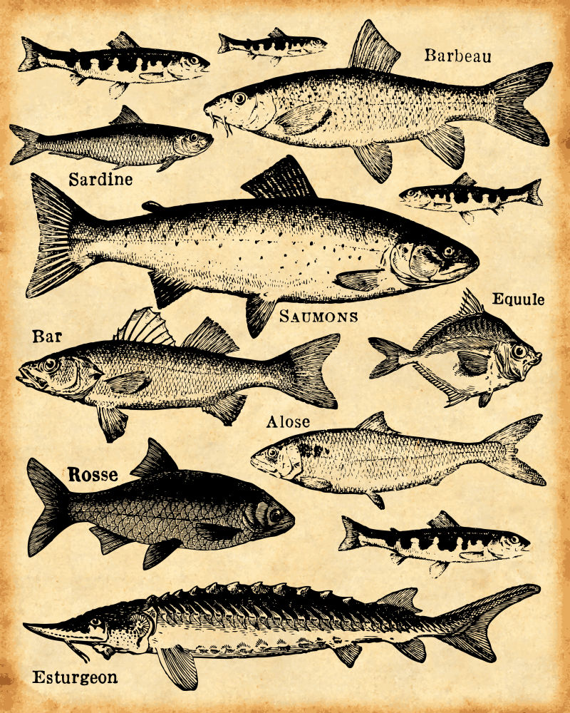 矢量复古海报设计