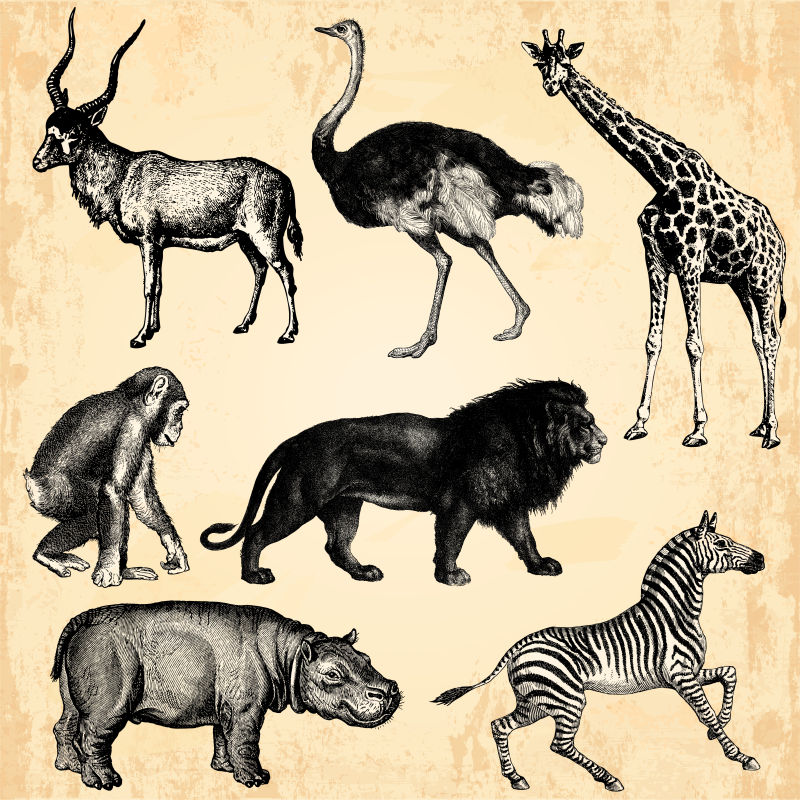 矢量复古海报设计