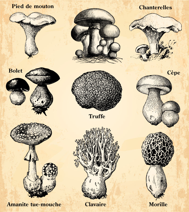 矢量复古海报设计