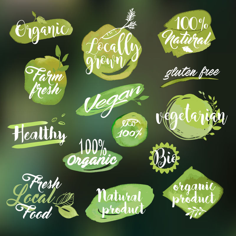 一套手绘水彩标签和徽章用于有机食品和饮料天然产品餐饮保健食品市场和生产背景自然模糊矢量插图