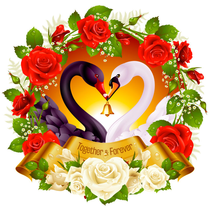 抽象矢量现代黑白天鹅元素装饰插图设计