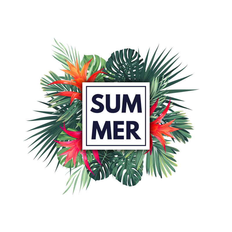 绿色植物夏季热带设计棕榈叶和异国情调的红花载体花卉模板