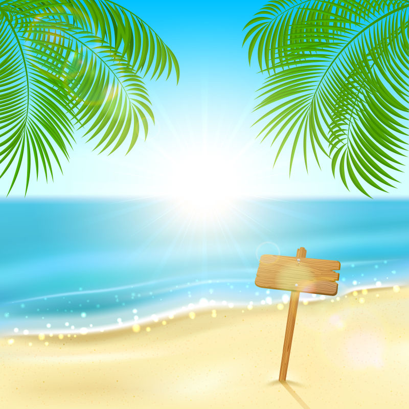 热带背景-棕榈叶和沙滩上的木质标志-插图