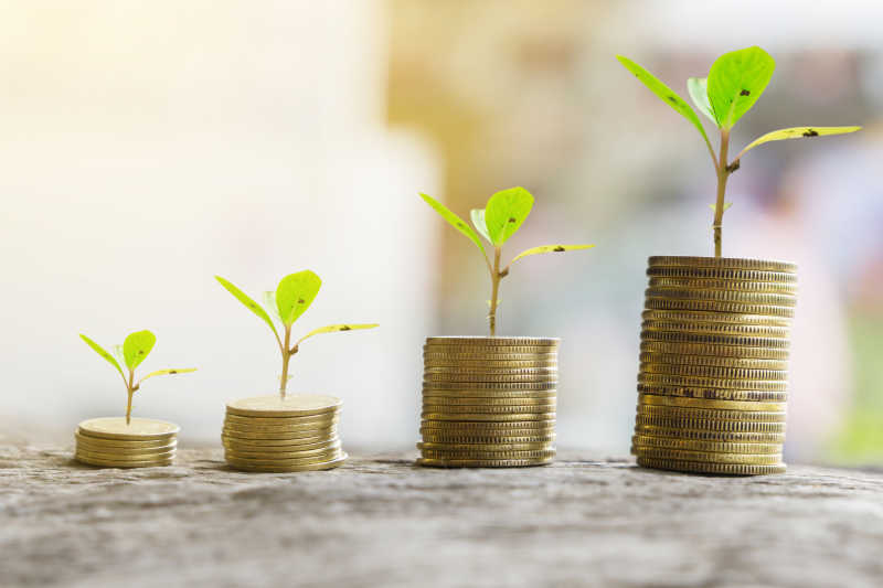 金钱增长观企业成功观成长树