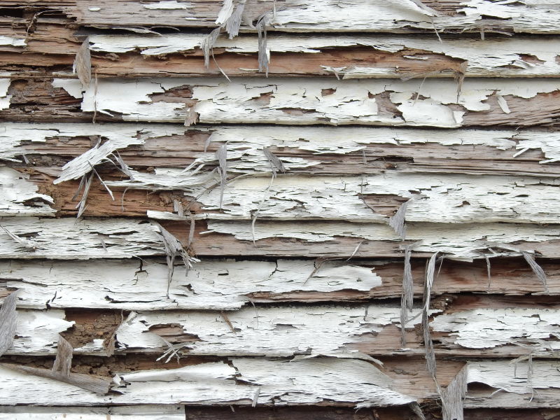 有裂缝的旧木墙