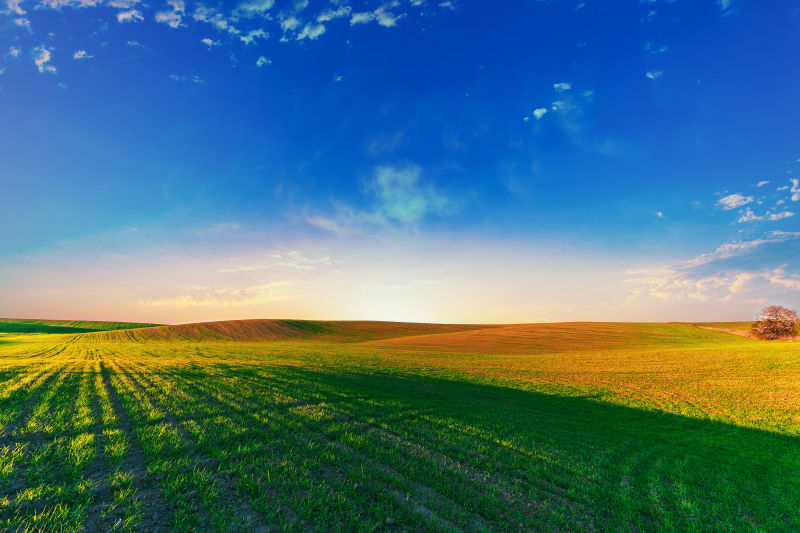 绿色田野与美丽的夕阳