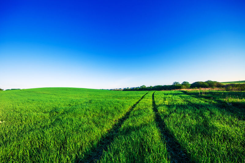 绿色田野与美丽的夕阳